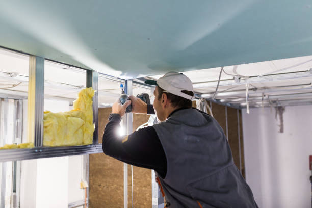 Best Geographic-Specific Insulation Services in Halls, TN