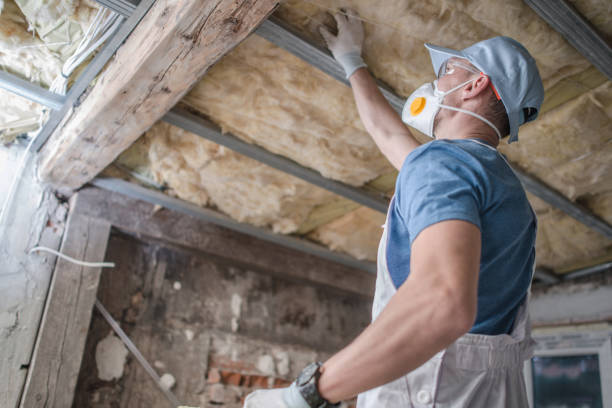 Best Spray Foam Insulation in Halls, TN