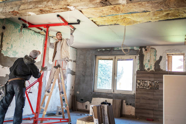 Best Cellulose Insulation in Halls, TN